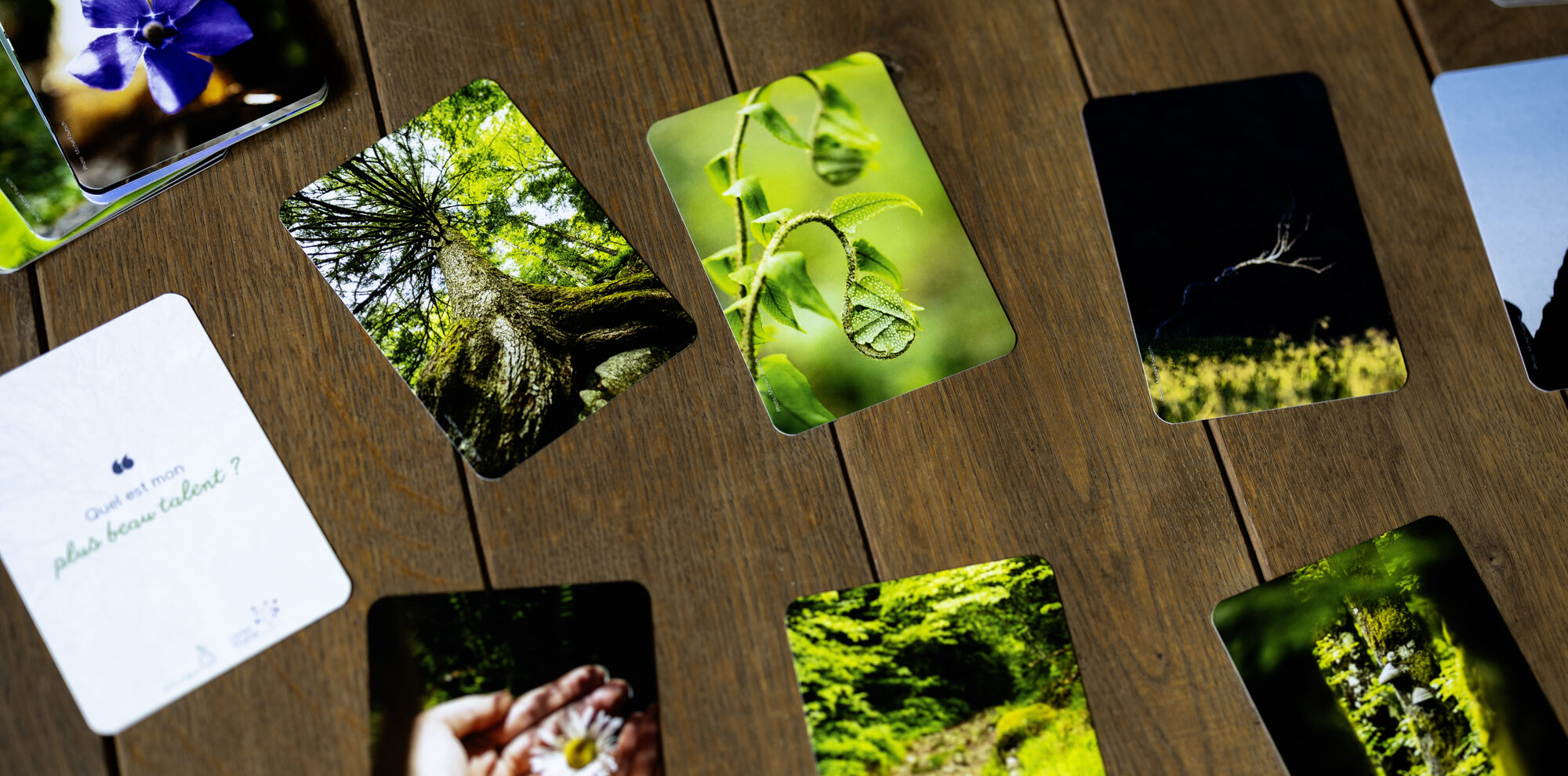 Lire la suite à propos de l’article Infos pour commander les cartes de photolangage : Rêve, ose, brille !