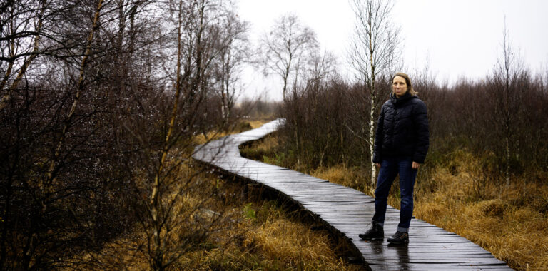 Lire la suite à propos de l’article ENTREPRENEUR : AUDACE – PERSEVERANCE