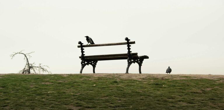 SOLITUDE DU DIRIGEANT ?