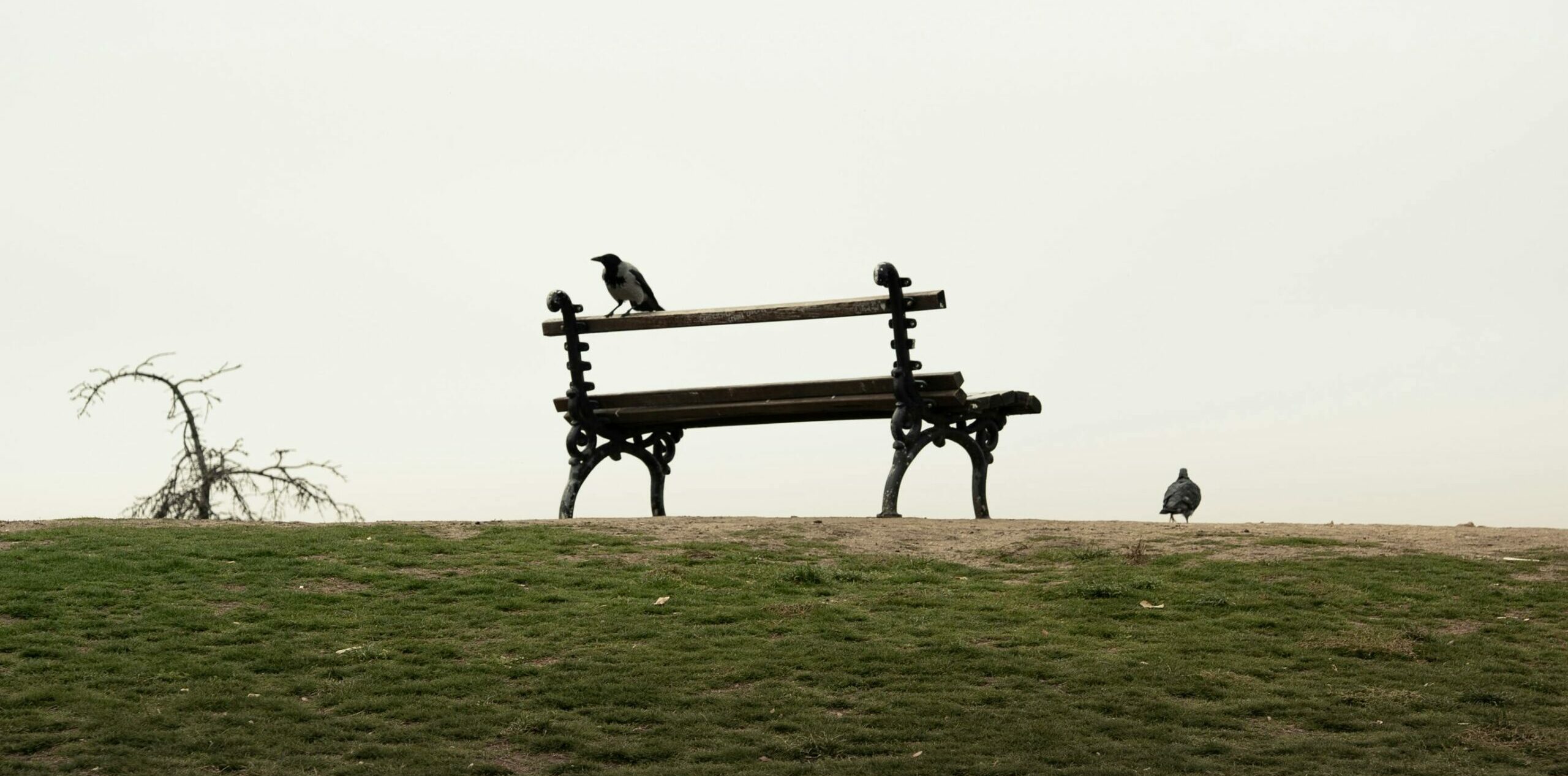 Lire la suite à propos de l’article SOLITUDE DU DIRIGEANT ?
